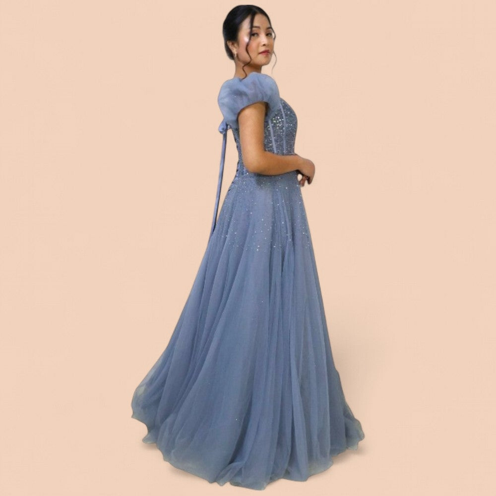 Free Size Powdered Blue Embellished Ball Gown