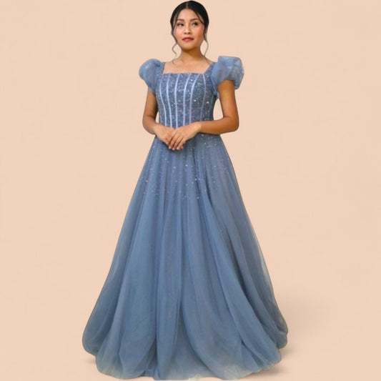 Free Size Powdered Blue Embellished Ball Gown